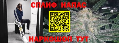 стафф Свободный
