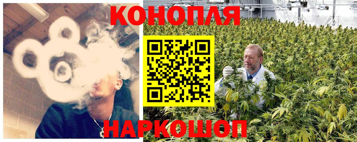 Бошки марихуана Bruce Banner  МАРИХУАНА семена  Вход с VPN  МАРИХУАНА SATIVA & INDICA  Нерюнгри 